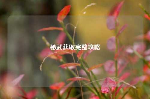 秘武获取完整攻略