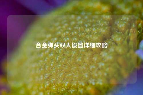 合金弹头双人设置详细攻略