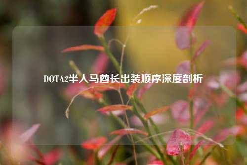 DOTA2半人马酋长出装顺序深度剖析