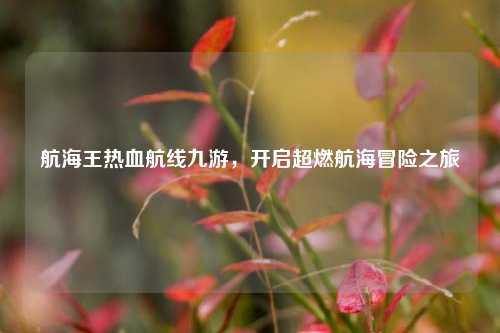 航海王热血航线九游,开启超燃航海冒险之旅