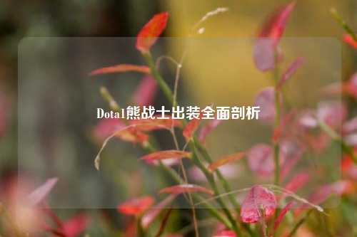 Dota1熊战士出装全面剖析