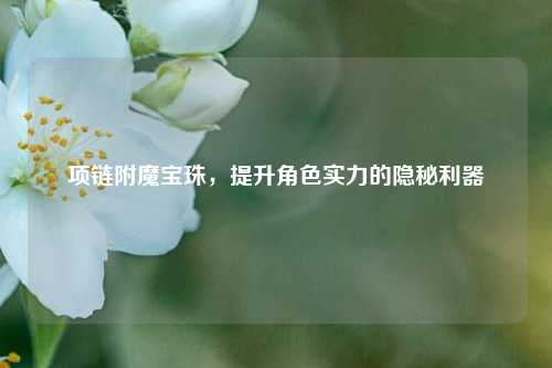 项链附魔宝珠,提升角色实力的隐秘利器