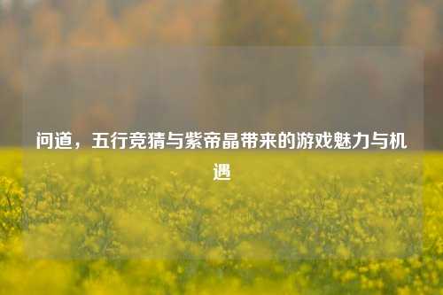 问道,五行竞猜与紫帝晶带来的游戏魅力与机遇