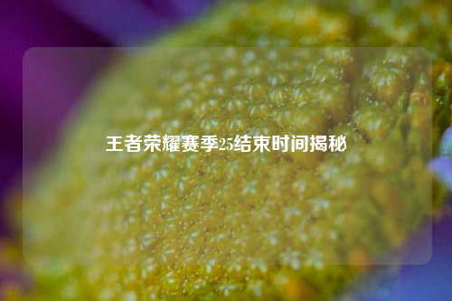 王者荣耀赛季25结束时间揭秘