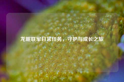 龙眠联军日常任务,守护与成长之旅