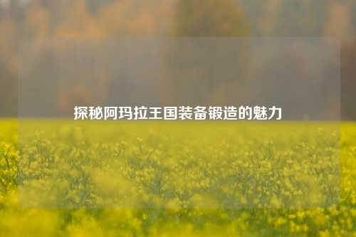 探秘阿玛拉王国装备锻造的魅力