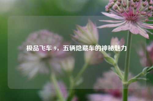 极品飞车 9,五辆隐藏车的神秘魅力