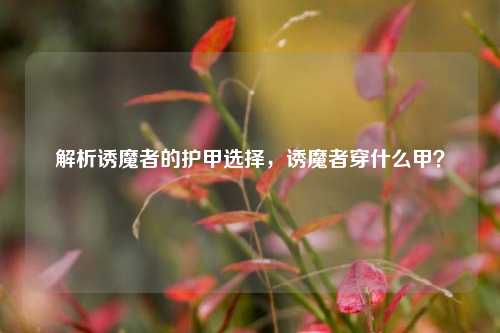 解析诱魔者的护甲选择,诱魔者穿什么甲?