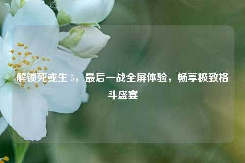 解锁死或生 5,最后一战全屏体验,畅享极致格斗盛宴