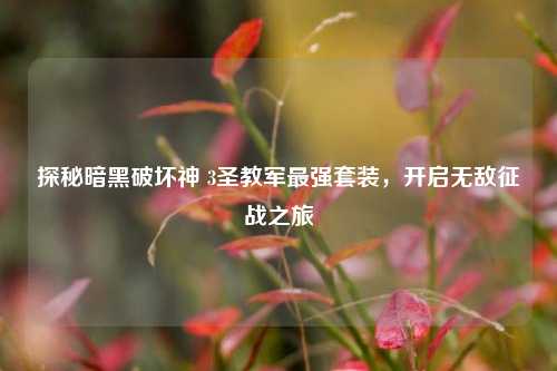 探秘暗黑破坏神 3圣教军最强套装,开启无敌征战之旅