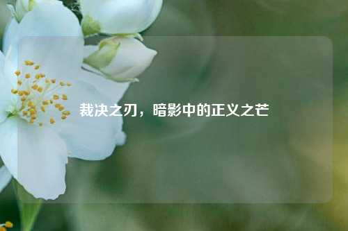 裁决之刃,暗影中的正义之芒