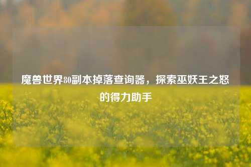 魔兽世界80副本掉落查询器，探索巫妖王之怒的得力助手