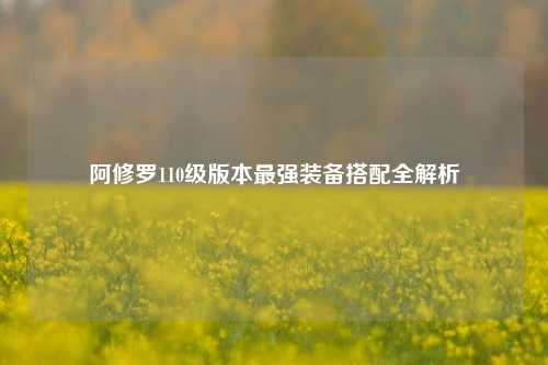 阿修罗110级版本最强装备搭配全解析