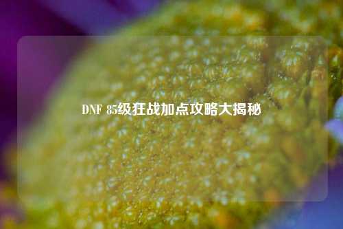 DNF 85级狂战加点攻略大揭秘