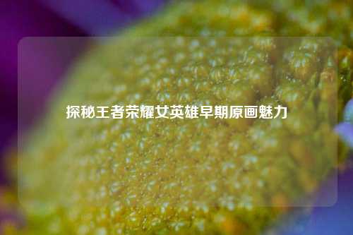 探秘王者荣耀女英雄早期原画魅力