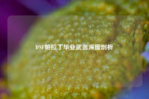 DNF帕拉丁毕业武器深度剖析