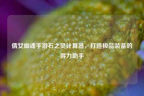 倩女幽魂手游石之灵计算器,打造极品装备的得力助手