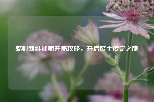 辐射新维加斯开局攻略,开启废土传奇之旅