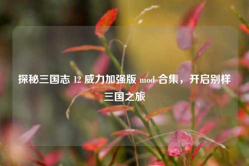 探秘三国志 12 威力加强版 mod 合集,开启别样三国之旅